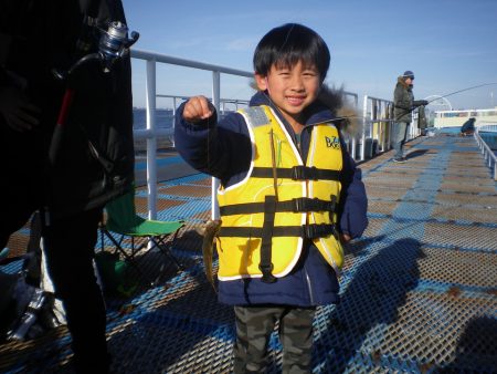 オリジナルメーカー海づり公園(市原市海づり施設) 釣果