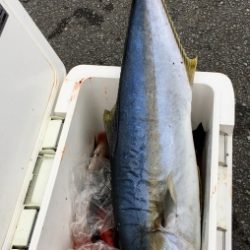 鵜来島家本渡船 釣果