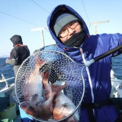 遊漁船 幸友丸 釣果