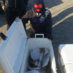 第五慶門丸 釣果