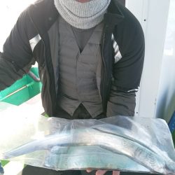 小島丸 釣果