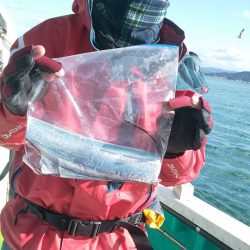 小島丸 釣果