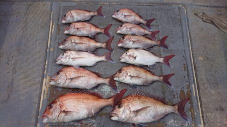 FISHING RISKY 釣果