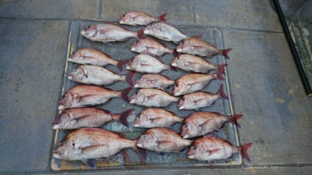 FISHING RISKY 釣果