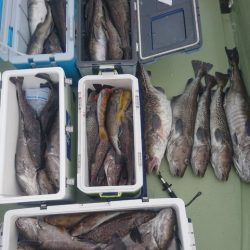 気仙沼　つり丸 釣果