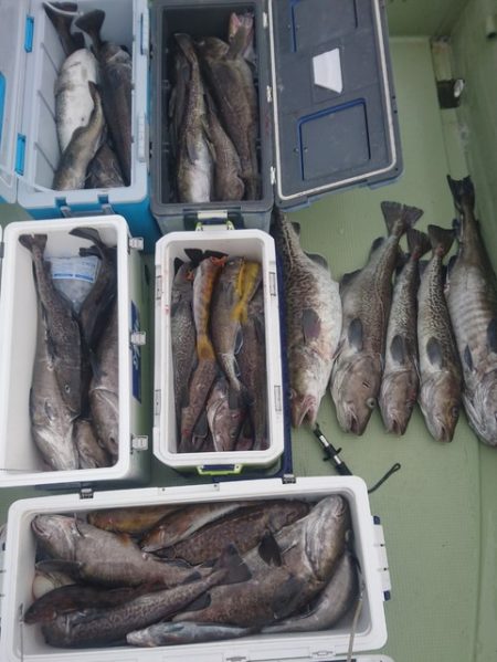 気仙沼　つり丸 釣果