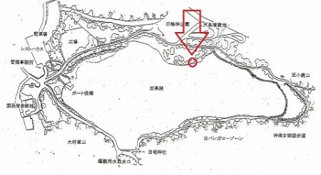 志高湖フィッシング 釣果