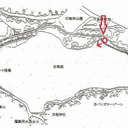 志高湖フィッシング 釣果