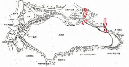 志高湖フィッシング 釣果