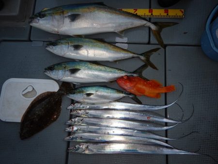 sea boss　シーボス 釣果