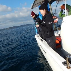 sea boss　シーボス 釣果