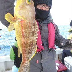 マタウマリンサービス 釣果