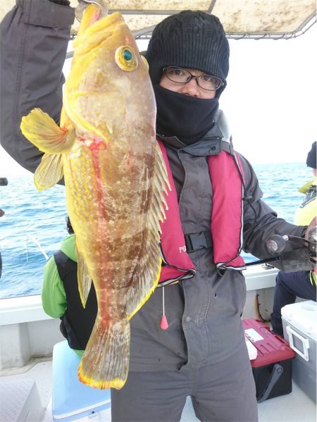 マタウマリンサービス 釣果