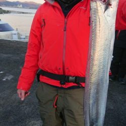 オーフリー 釣果