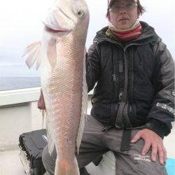 マタウマリンサービス 釣果