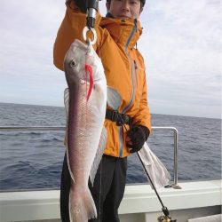 マタウマリンサービス 釣果