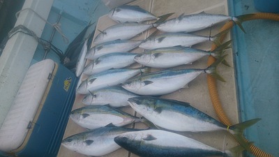 旭星釣りセンター 釣果