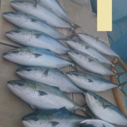 旭星釣りセンター 釣果