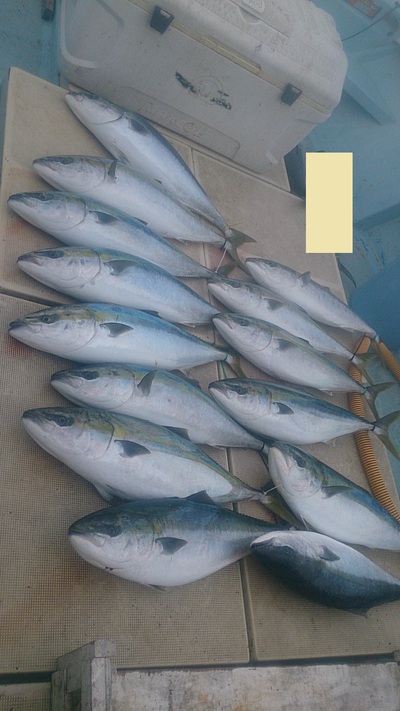 旭星釣りセンター 釣果