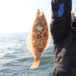 松本釣船２ 釣果