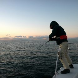 フルコンタクト 釣果