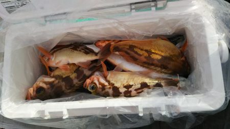 モンロー号 釣果