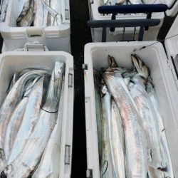 オーフリー 釣果