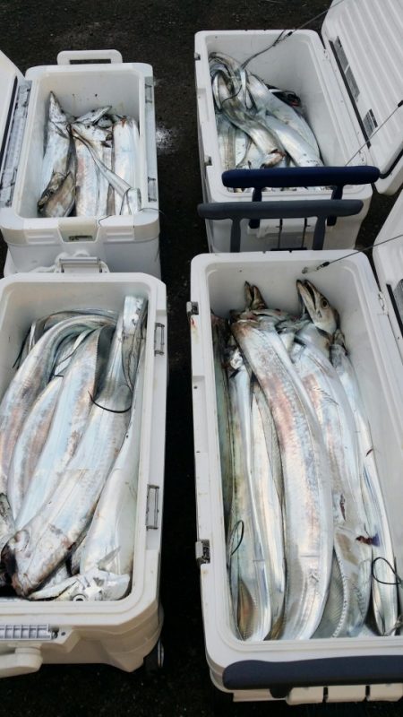 オーフリー 釣果