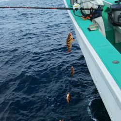 モンロー号 釣果