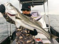 オーシャンマスター 釣果