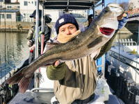 オーシャンマスター 釣果