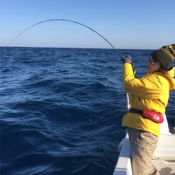 マタウマリンサービス 釣果