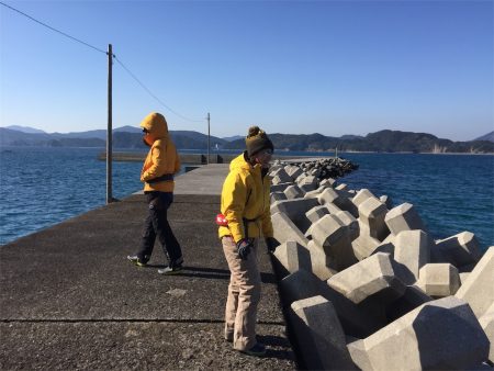 マタウマリンサービス 釣果