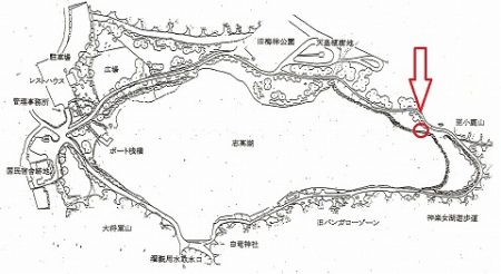志高湖フィッシング 釣果