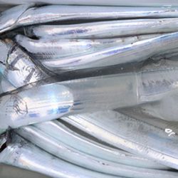 松本釣船２ 釣果