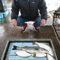 明神釣船 釣果