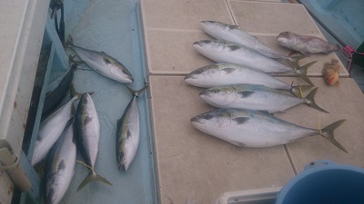 旭星釣りセンター 釣果