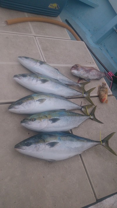 旭星釣りセンター 釣果