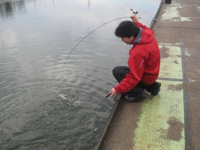 吉羽園 釣果