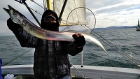 おおせき丸 釣果