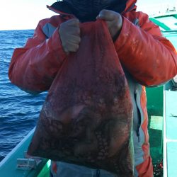 モンロー号 釣果