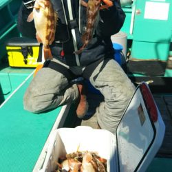 モンロー号 釣果