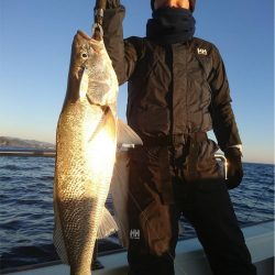 マタウマリンサービス 釣果