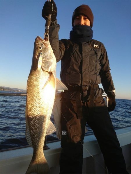 マタウマリンサービス 釣果