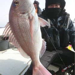 マタウマリンサービス 釣果