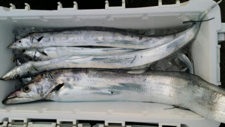 オーフリー 釣果