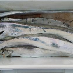 オーフリー 釣果