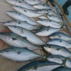 旭星釣りセンター 釣果