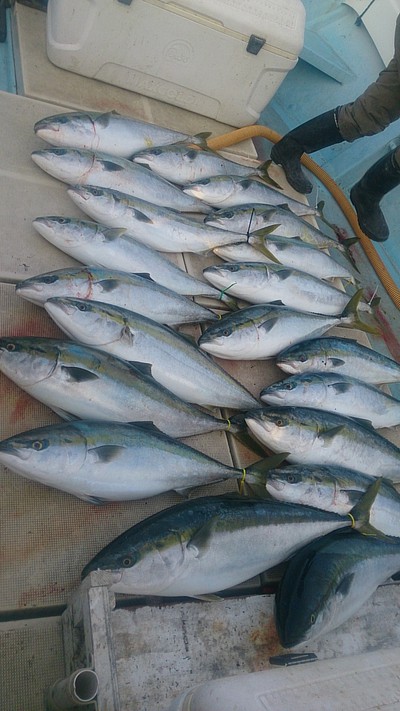旭星釣りセンター 釣果