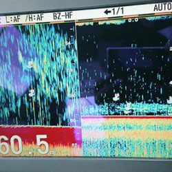 松本釣船２ 釣果